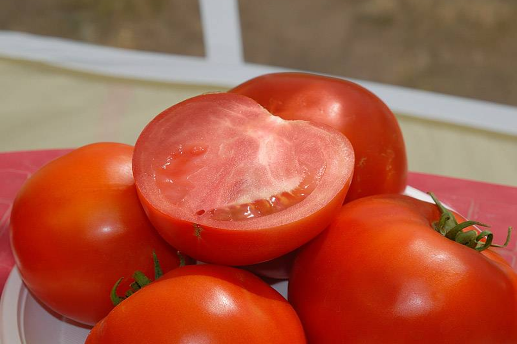 Сорт томатов оля f1. Томат Бобкат f1. Семена томат Бобкат f1. Семена помидора Бобкат f1. Бобкат f1 томат характеристика.