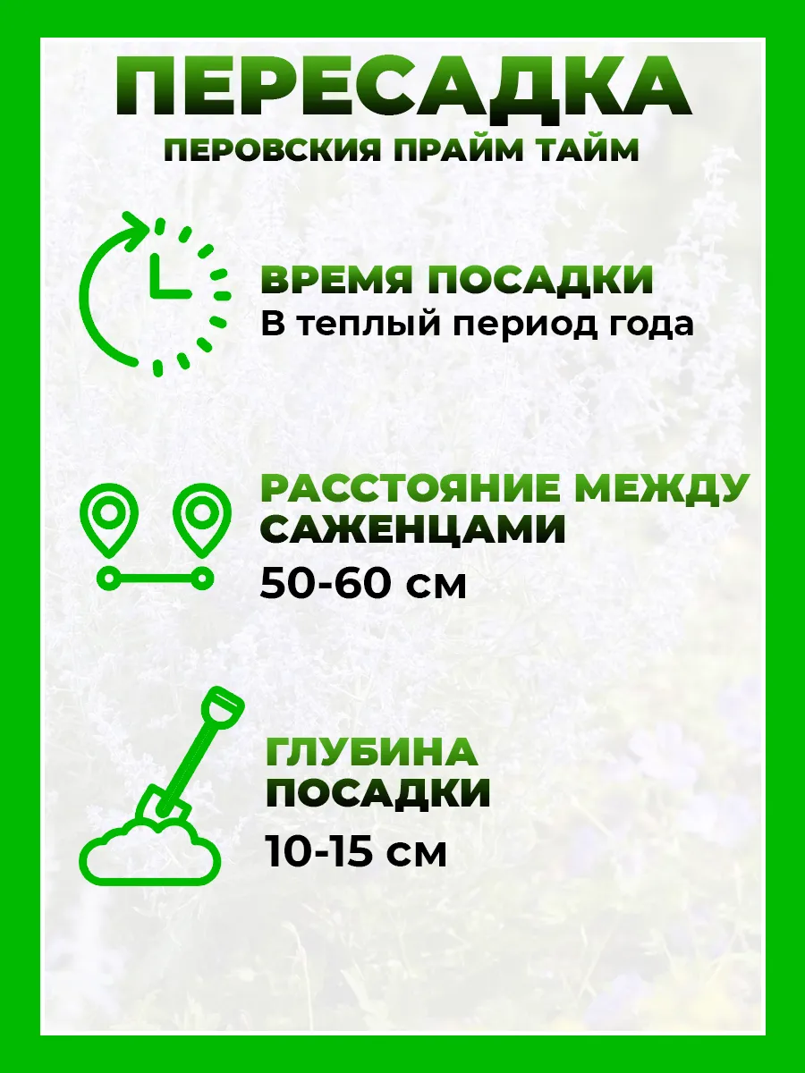 Перовския Прайм Тайм