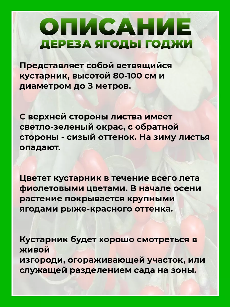 Дереза