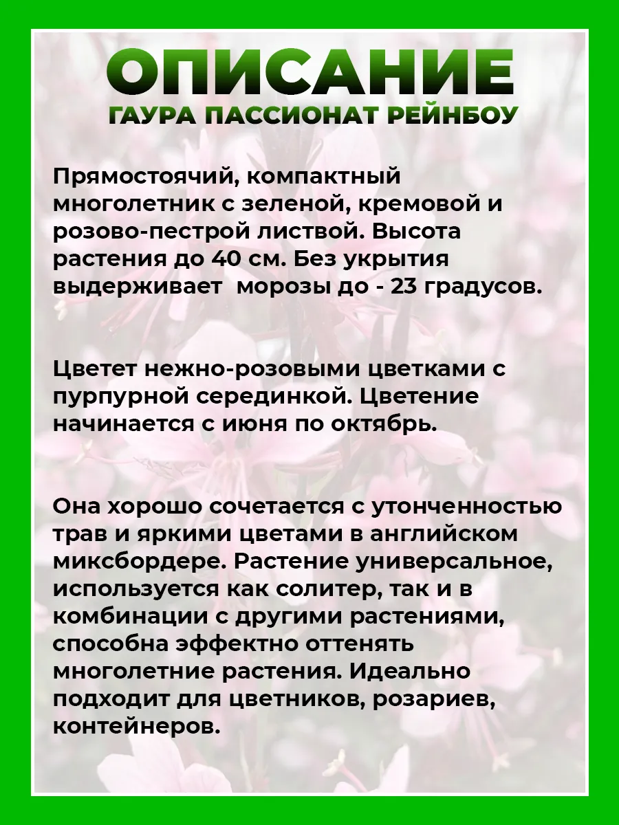 Гаура Линдхеймера Пассионат Рейнбоу