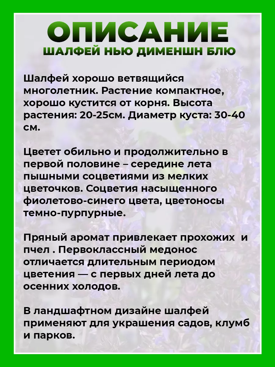 Шалфей дубравный Нью Дименшн Блю