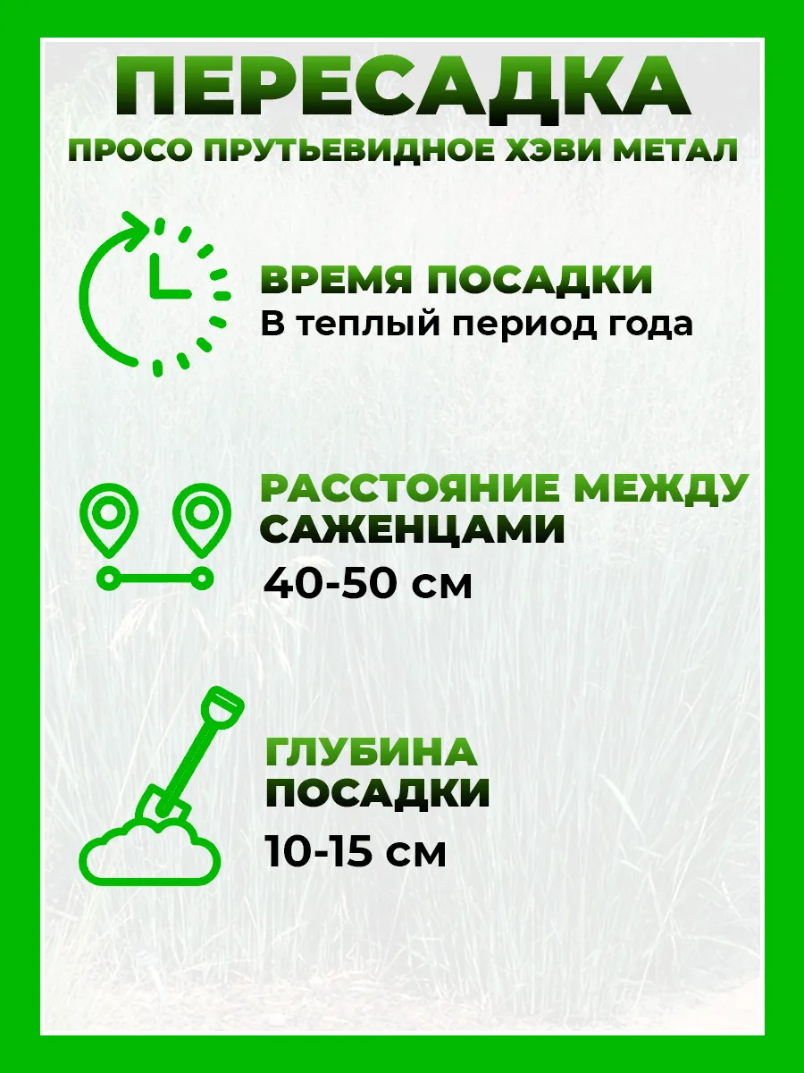 Просо прутьевидное Хэви Металл