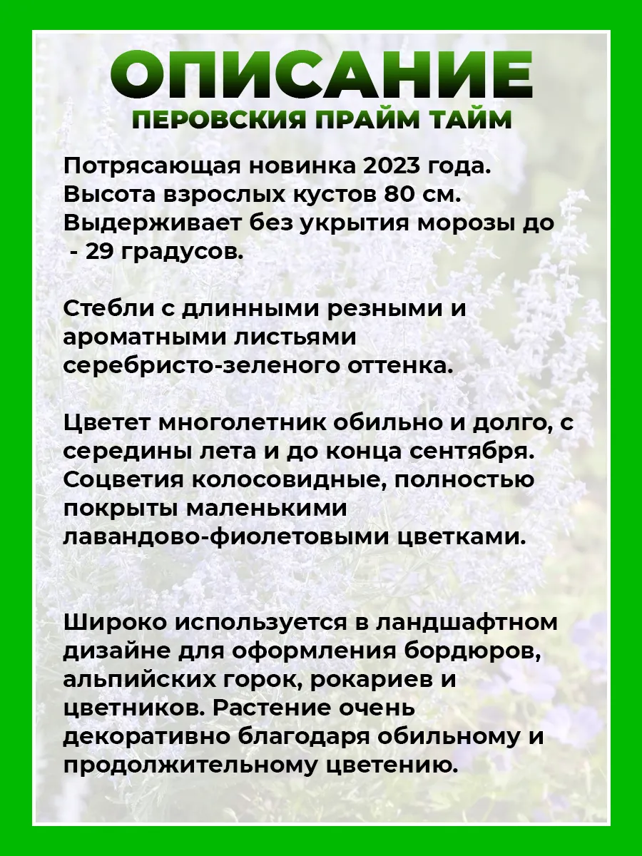 Перовския Прайм Тайм