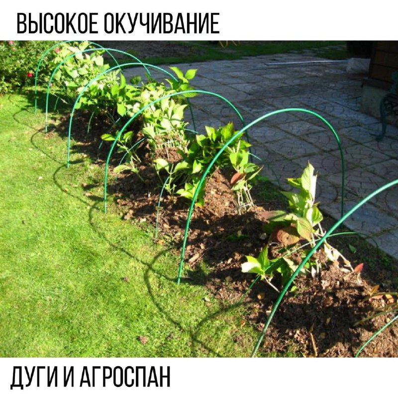 5887af24-ebab-4f42-818c-7dff59f5f610.jpg