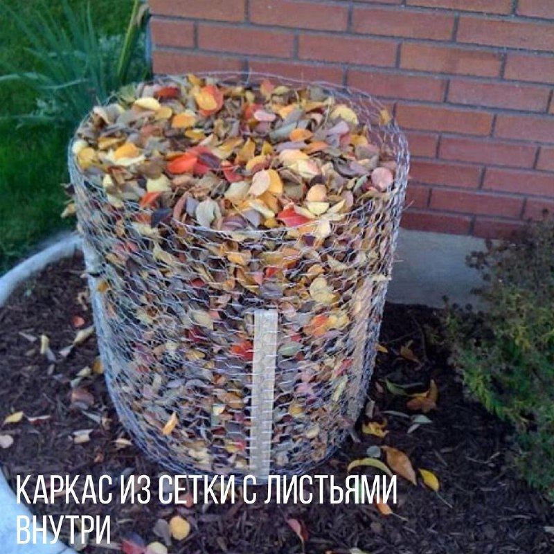 91ae9a35-c081-49d0-828e-af8e9ac68d43.jpg