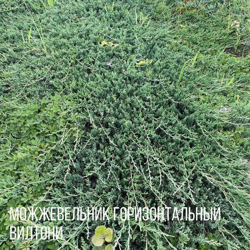 7492f848-9d16-4a28-9dbf-886bd36c4f8c.jpg 7492f848-9d16-4a28-9dbf-886bd36c4f8c.jpg