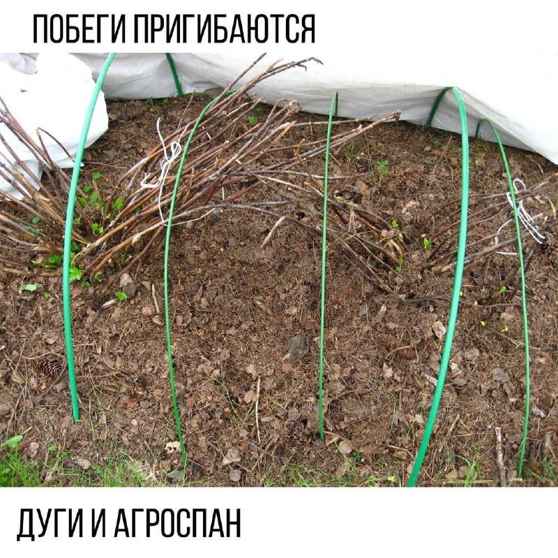 2b343fd9-b5d2-4dbf-941e-d2c9dfa460cf.jpg