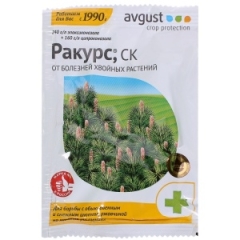 ракурс