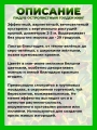 Падуб остролистный Голден Кинг