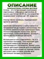 Хризантема крупноцветковая Сплэш Интенс