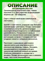 Актинидия острая Иссаи