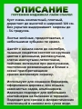 Гортензия метельчатая Мэджикал Лайм Спаркл