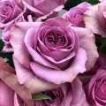 32f8d36bd8f6accfaad655cbf5827b09