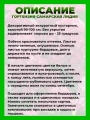 Гортензия метельчатая Самарская Лидия