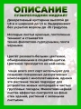 Пузыреплодник калинолистный Миднайт