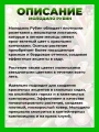 Молодило паутинистое Рубин