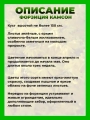 Форзиция зеленейшая Камсон