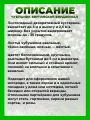 Чубушник виргинский Вирджинал