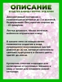 Буддлея Давида Беррис энд Крим
