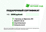 Сертификат 1000 (интернет-магазин)