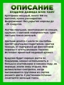 Буддлея Давида Блэк Найт