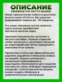 Пеннисетум лисохвостный Литтл Банни