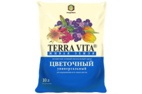 тетра