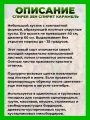 Спирея японская Зен Спирит Карамель