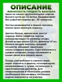 Жимолость съедобная Гордость Бакчара