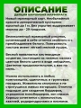 Дейция шершавая Мармората