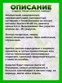Буддлея Давида Реве де Папилон Лавендер