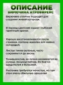 Бирючина обыкновенная Атровиренс