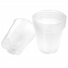 DONICZKA-do-uprawy-STORCZYKA-transp-6cm-10szt