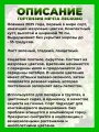 Гортензия метельчатая Мечта Лесково