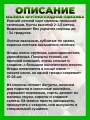 Малина Пшехиба