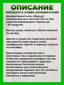 Мискантус китайский Клейн Сильберспайн
