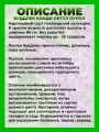 Буддлея Давида Баттерфляй Канди Литтл Пурпл