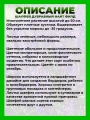 Шалфей дубравный Найт Филд