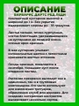 Барбарис Тунберга Дартс Ред Леди
