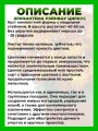 Хризантема крупноцветковая Рейнбоу Циркус