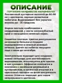 Гортензия древовидная Кандибелле Маршмеллоу