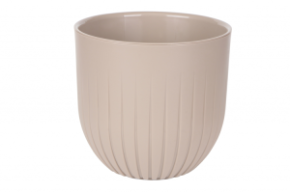 альфа флоппе