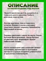 Пузыреплодник калинолистный Ред Барон