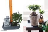 Бонсай+фонтан Р29
